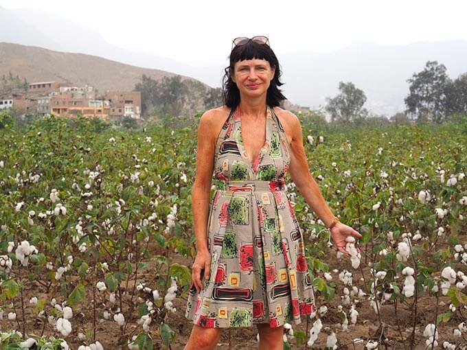 Somers in a cotton field in Peru