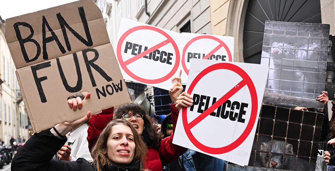 Vegan Fashion’s Selective Morality